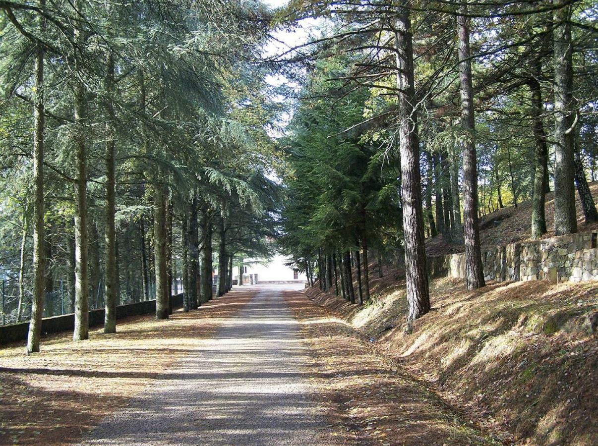 B&B Armony Bono Bono  외부 사진